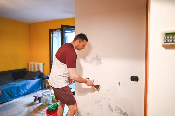 Trusted Forest Ranch, CA Mold Remediation Experts